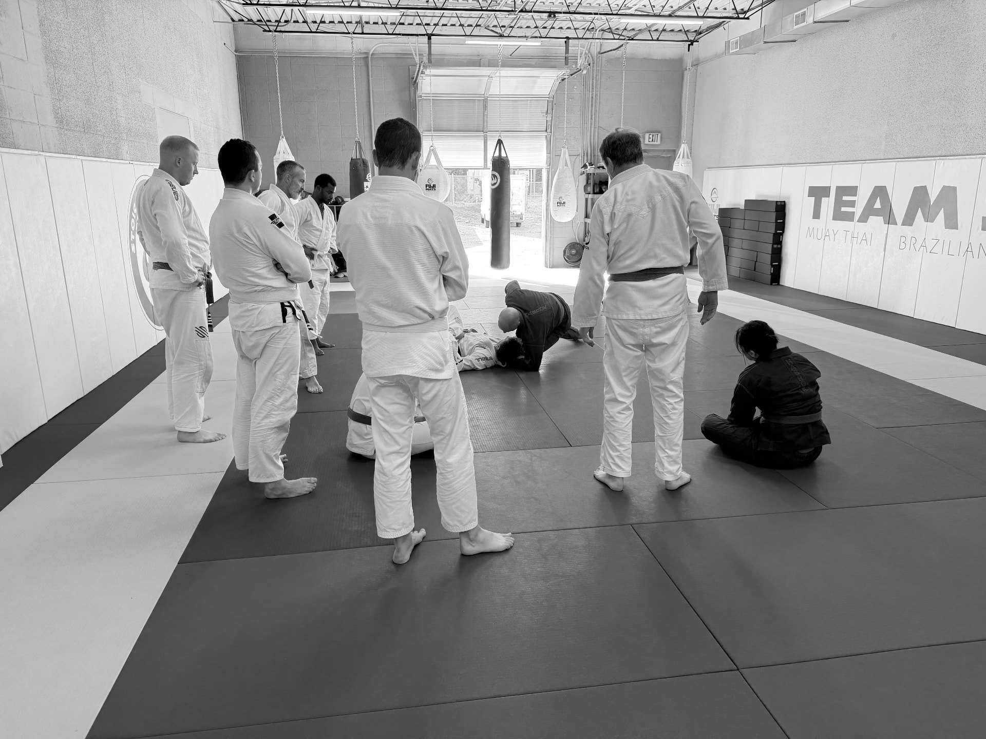 Adults training Brazilian Jiu Jitsu at Stoic Martial Arts in Chanhassen, MN